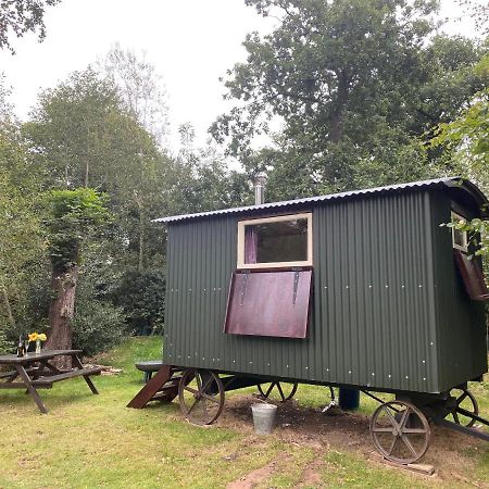 The Shepherd'S Hut - Wild Escapes Wrenbury Off Grid Glamping - Ages 12 And Over Baddiley Екстер'єр фото