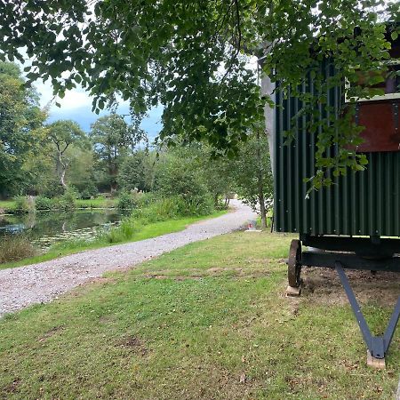 The Shepherd'S Hut - Wild Escapes Wrenbury Off Grid Glamping - Ages 12 And Over Baddiley Екстер'єр фото