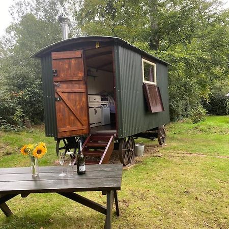 The Shepherd'S Hut - Wild Escapes Wrenbury Off Grid Glamping - Ages 12 And Over Baddiley Екстер'єр фото