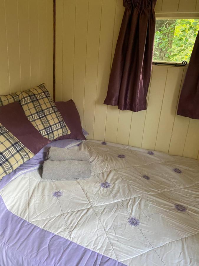 The Shepherd'S Hut - Wild Escapes Wrenbury Off Grid Glamping - Ages 12 And Over Baddiley Екстер'єр фото