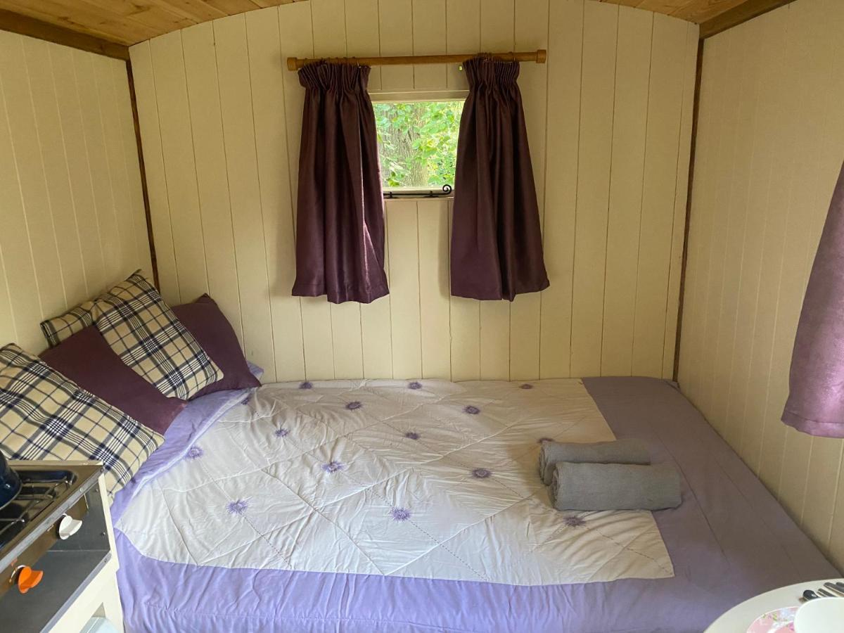 The Shepherd'S Hut - Wild Escapes Wrenbury Off Grid Glamping - Ages 12 And Over Baddiley Екстер'єр фото