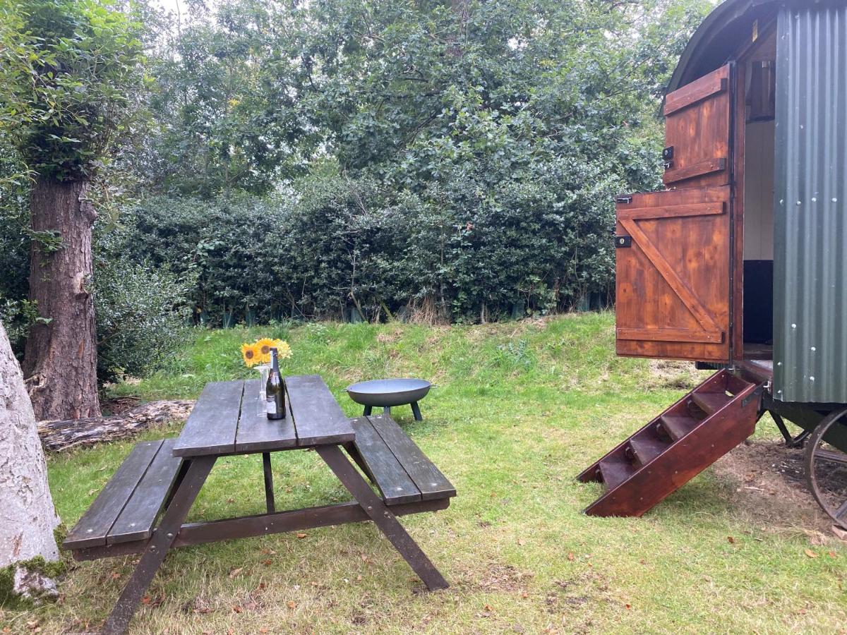The Shepherd'S Hut - Wild Escapes Wrenbury Off Grid Glamping - Ages 12 And Over Baddiley Екстер'єр фото